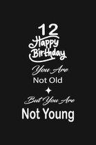 12 Happy birthday you are not old but you are not young: funny and cute blank lined journal Notebook, Diary, planner Happy 12th twelveth Birthday Gift