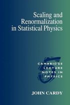 Scaling & Renormalization In Statistic