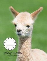 Baby Llama Composition Notebook: College Ruled