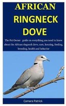 African Ringneck Dove