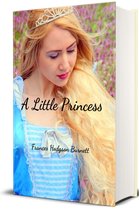 Classic Books for Children 70 - A Little Princess (Illustrated Edition)