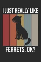 I Just Really Like Ferrets, OK?