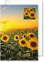 6 Wenskaarten met gekleurde envelop - MGPcards - Blanco - Bloemen - 11,5 x 17 cm