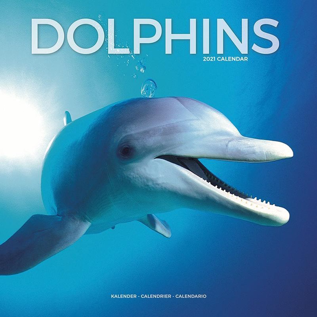 Dolfijnen Kalender 2021