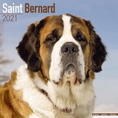 Sint Bernard Kalender 2021