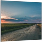 Acrylglas –Weg door Weilanden met Zonsondergang– 100x100 (Met ophang)