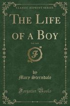 The Life of a Boy, Vol. 2 of 2 (Classic Reprint)