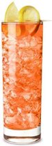 Arc International Islande Longdrink - 0.31 - 6 stuks