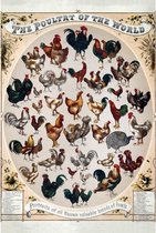 Wandbord - The Poultry Of The World