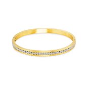 Twice As Nice Armband in goudkleurig edelstaal, ovale bangle 6 cm