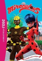 MIRACULOUS 17 - COCCINELLE CON