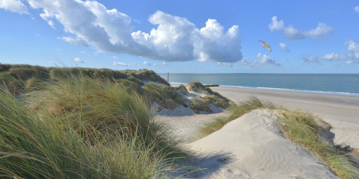 Fotobehang duinen zee en strand Burgh Haamstede 350 x 260 cm - € 235,--