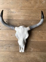 Skull buffelschedel - SKULL - Skull voor aan de muur - Buffelschedel - Skull beige met zwarte uiteinden - 74 cm breed