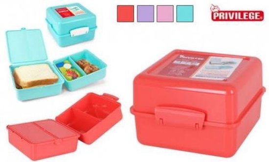 Lunchbox met vakken / broodtrommel met compartimenten voor fruit groente /  lunchdoos /... | bol.com