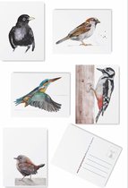 Vogel kaarten Set -5 stuks - Blanco - Ansichtkaarten - postkaarten