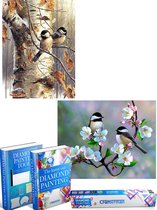Crafterman™ Diamond Painting Volwassenen VOORDEEL SET VAN 2 STUKS - Vogels in de boom & Vogeltjes op een tak met bloemen 30x40cm - volledige bedekking - vierkante steentjes - hobby pakket - M