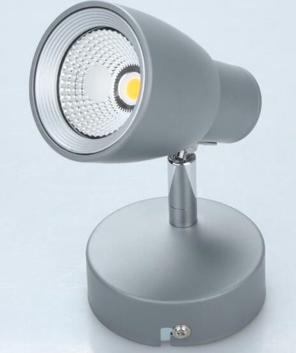 LANDO Opbouwspot LED 1x10W/750lm Zilver
