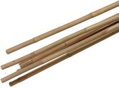 Bamboestokken - Klim- en Geleide Artikelen | 60 cm