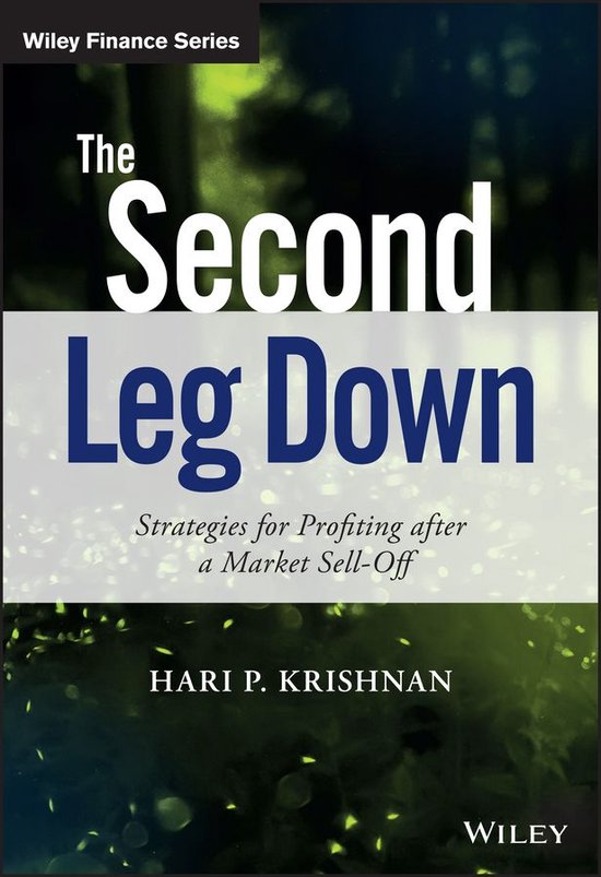 The Wiley Finance Series - The Second Leg Down - cover