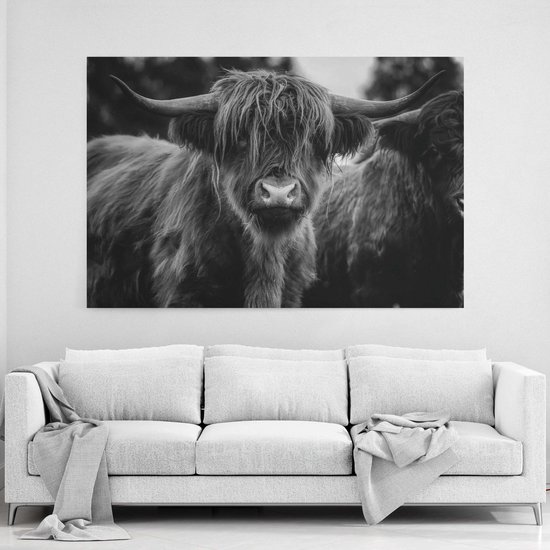 bewonderen Wonen storm Schotse hooglander op canvas, 70x50cm in zwart wit inclusief ophangsysteem  - Schotse... | bol.com