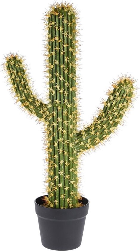 Kunst in pot 76cm, Polaskia cactusplant |