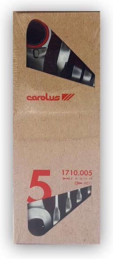 Gedore RED R07105005 Jeu de 5 clés polygonales / mixtes à cliquet - 8-19 mm