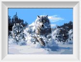 Artstudioclub®  schilderen op nummer volwassenen pak wolven 40x50cm -Zonder lijst