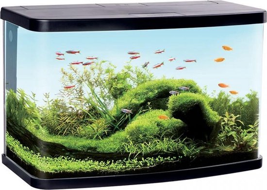 mini Voorbijganger een beetje Duvo + Aquarium panorama vs60 Zwart 61x30,6x39,8cm | bol.com
