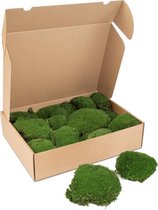 Kleine doos bolmos - kleur mos: Forest Green (voor o.a. decoratie, mosschilderij of moswand).