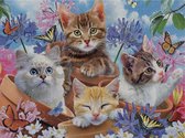 Kitten Poes Bloemen Vlinders - VIERKANT - 30x40cm - Diamond Painting Volwassenen - Paintd