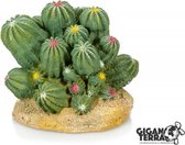 Giganterra Cactus 12x10,5x11cm