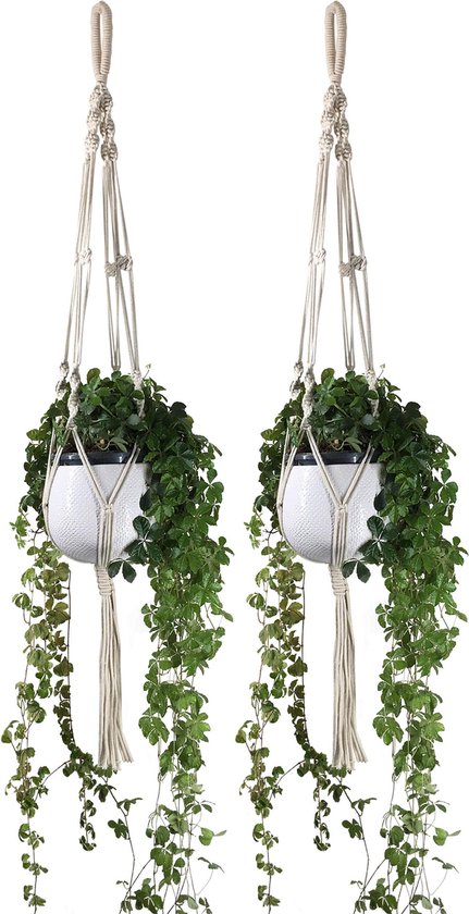 2 stuks nephangende plant met pot - macramé plantenhanger