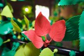 Gispen Leaves - Magneetjes - Rood, Groen