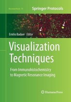 Visualization Techniques