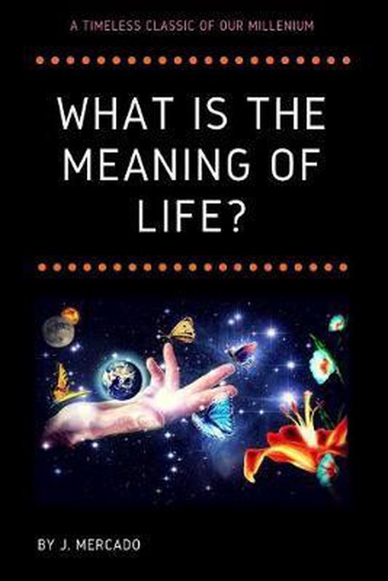 What is the Meaning of Life? 9781086881219 J Mercado Boeken