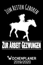 Zum Reiten geboren zur Arbeit gezwungen - Wochenplaner 2019 - 2020: DIN A5 Kalender / Terminplaner / Wochenplaner 2019 / 2020 18 Monate: Juli 2019 bis