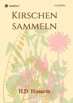 Kirschen Sammeln