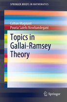 SpringerBriefs in Mathematics - Topics in Gallai-Ramsey Theory