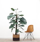 Kunstplant Monstera op mosstok - 180cm hoog