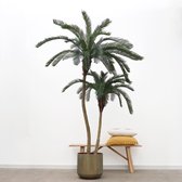 Kunstplant Palm Phoenix - 180cm hoog