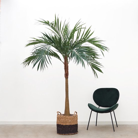 Grote hoeveelheid Officier Echt Kunstplant Palmboom - 180cm hoog | bol.com