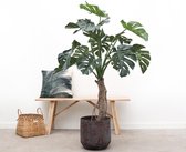 Kunstplant Monstera op stam - 150cm hoog