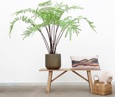 Kunstplant Varen - 180cm hoog