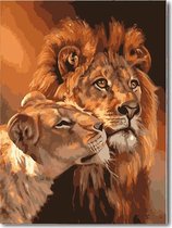 Eagle® Schilderen op Nummer Volwassenen - Leeuwen - Gespannen op Frame - 50x40cm