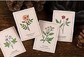 Set van 46 stickers - Plant - Sticker Bloemen