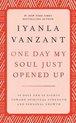 One Day My Soul Just Opened Up