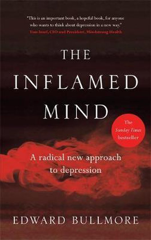 The Inflamed Mind - cover