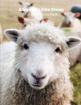 Adorable Little Sheep Full-Color Picture Book