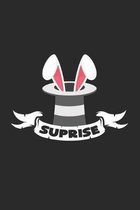 Suprise: 6x9 RabbitBunny - grid - squared paper - notebook - notes