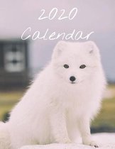 2020 Calendar